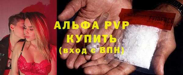 эйфоретик Новокубанск