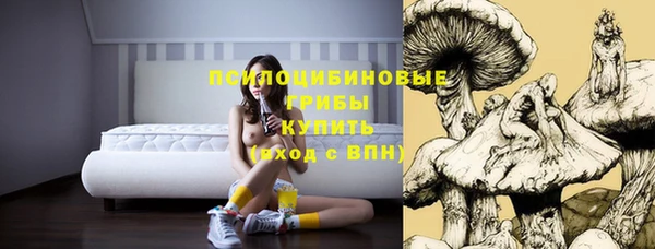 эйфоретик Новокубанск