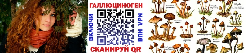 Псилоцибиновые грибы мухоморы mega зеркало Кохма даркнет сайт