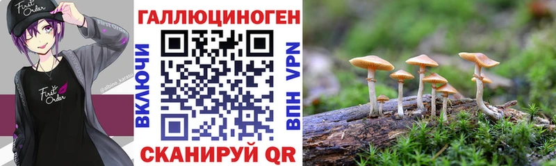 Псилоцибиновые грибы GOLDEN TEACHER Кохма