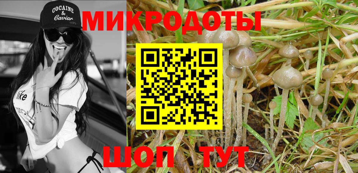 Псилоцибиновые грибы ЛСД  Вход с VPN  Кохма 