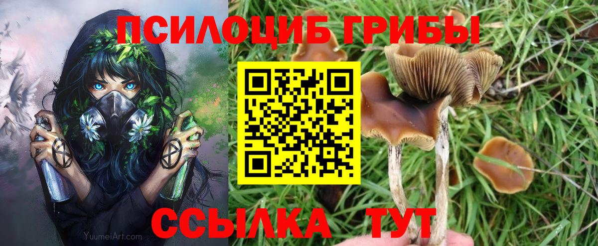 Галлюциногенные грибы Cubensis Кохма