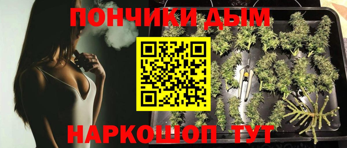 Марихуана тримм  Канабис MAZAR  Вход с VPN  Кохма 